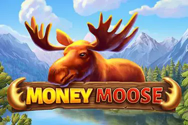 Money Moose - Spin City - Congo